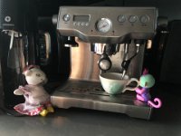 The girls are enjoying the company of Paulie's pal "Miss Mouse". accompanied by their monkey friend they got up to a lot of mischief. Too much caffeine?