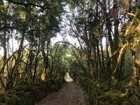 Her favourite forest path up in the hills near Grotte de Bosc