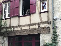 Later that day the duo walked up Rue Droite when their pal the Maine Coon Mauler prepared to pounce from up high (actually a sweetie)