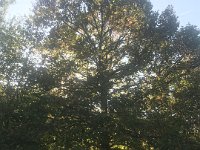 Where the light was lovely