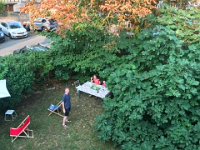 Back in time to see the guests have breakfast in the garden