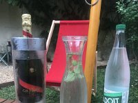 The champagne was ready and the fig tree offered up a few nibbles.