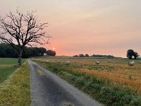 Good old "one tree hill". Real name- Chem du Terrible which is not terrible at all.