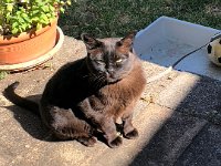 Matilda was very impressed with the lecture.