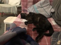 Matilda was exhausted