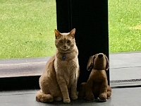 Casper and her friend the door stop dutifully guarded the door.