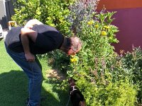 22nd - Stephen delivered Matilda a botanical overview of her owner's garden.