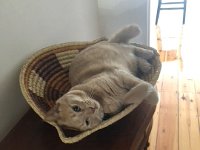 13th - Our pal Greg Egan's father, Ted, had died at home in Alice Springs so the duo joined Casper for a few nights.