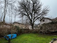 The La Cachette garden was in good shape.