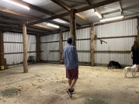 And it's ample sheds..