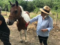 20th - To pal Yolande's farm to tidy up Ruben...