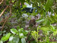 "Please be my friend"