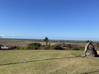 Hummock Lookout... a low (at 96 metres) high point of the area - ocean to the east and cane fields to the west.