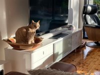 1st - Casper woke on a lovely morning at Greg & Rosie's lovely Adelaide home where the duo spent the night.