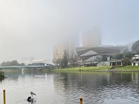 29th - Olivia joined her running pals for a foggy run in town