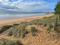 On the way back via a patch near Mon Repo Turtle Centre- the most accessible rookery on the east coast.