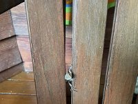 .. under the watchful supervision of his young reptile pal Harry.