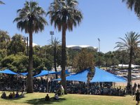 4th - Paulie enjoyed the sunshine at the festival in Adelaide. In Brisbane there was little sunshine...