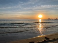 That evening Olivia walks on a South Australian beach