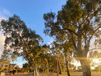 25th Adelaide has so many lovely paths to walk. And run