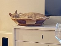 And so ends the month for Casper in his Arnhem Land basket. The guys stayed in the region for another 3 nights (see June)