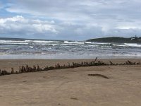 Whilst Stephen cycled,  Paulie walked the beach to the old shipwreck. An injured tendon needed stretching