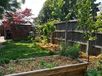 And in Oxford, Spring has sprung.