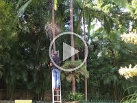 Movie- chores continue