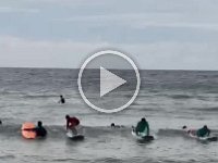 VIDEO - Olivia developed a new skill