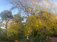 The 6 nights there were  lovely.