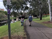 A wander around the Torrens near The Uni of Adelaide (soon to be "Adelaide Uni" after they merge with Uni SA)