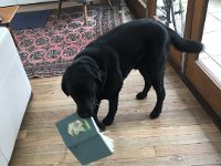 Louise fetched a book when Paulie was ready for a read after cycling. However, her notebook was not her preferred reading material