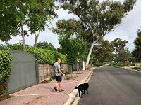 Not a marathon, but also out and about  - time to explore the avenues and walk to the River Torrens