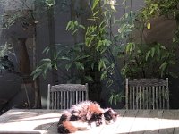 But soon returned to the sun