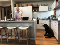 The guys are soon reminded that Labradors have one thing on their mind. Food.