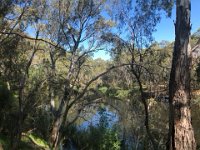 Often Paulie joined the lads on her bicycle as they went to the St Peters Billabong and the river