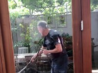 Louis believed that cleaning the pavers outside was play time