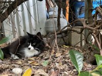 Zelda, on the other hand, was too old to start an exercise programme.