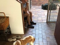 3rd - The duo was kindly welcomed into the St Lucia Atherton's home for a couple of nights  after removalists emptied the house. Weary Stephen took time out