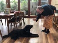 Stephen lectured Louis on the need for a balanced diet and exercise. Soon morning runs would be on the agenda