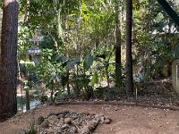 Paulie farewelled Rosie the cat's grave and Stephen checked on Rusty Dog's resting place.