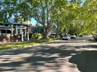 10th - time to relocate to St Peters in Adelaide to housesit and care for pets.