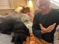 18th - a rather furry morning greeitng!