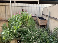 7th - Arriving at Olivia's in Adelaide's Renown Park where the duo stayed for three nights