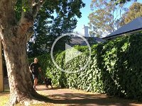 VIDEO- Paulie caught the lads out for a "run"