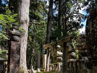 Whilst in Japan Keno & James walked though ‎the Koya-Ryujin Quasi-National Park in Koya.