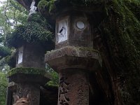 One of Nara's numerous sika deers. Local folklore saw them as messangers from the Gods.