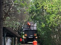 29th - Then it was back home for the big move. Stephen had to borrow the neighbour's chainsaw to take a few of the of the larger branches down