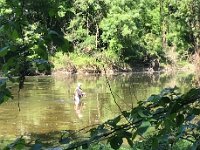 She quietly passed a fly fisherman