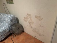 And the walls had dried out and paint peeled